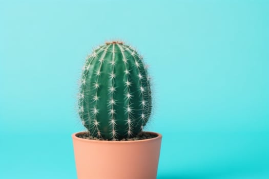Cactus in minimalist pot. background. AI Generative Pro Photo