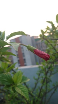 Beautiful nature photography photo