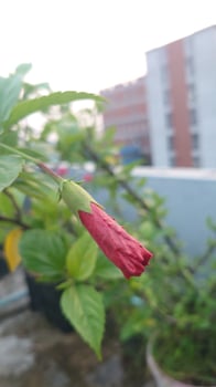 Beautiful nature photography photo