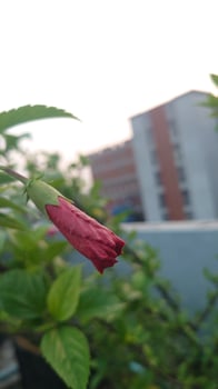 Beautiful nature photography photo