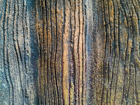 Closeup of tree trunk. Concrete wood texture. Tree bark texture of the cement relief plaster wall with natural color paint. photo