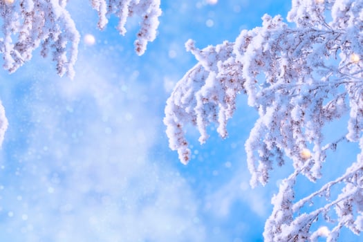 Blurred frozen grass. Winter abstract background. Landscape. photo