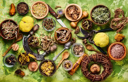 Assorted natural medical herbs photo
