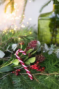 Green background of living leaves and branches, red Christmas candy. New Year's composition, a ready-made opening. New Year and Christmas celebration concept. photo