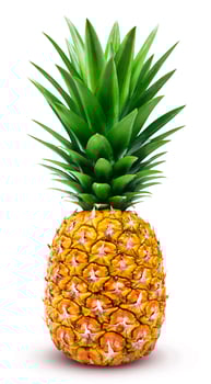 One whole pineapple isolated on white photo