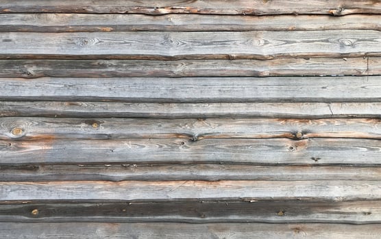 Weathered wooden background. Old gray wood texture photo