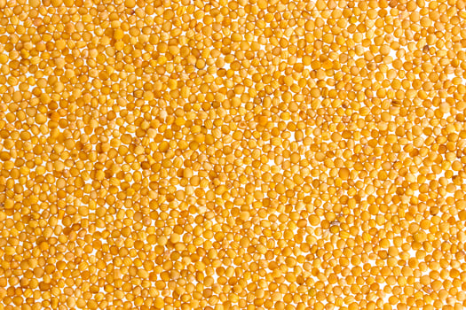 Yellow mustard seeds texture or background photo