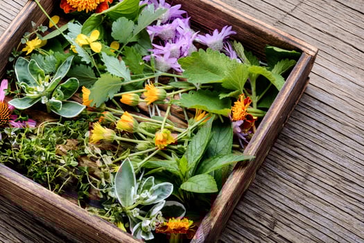 Healing herbs in wooden box photo