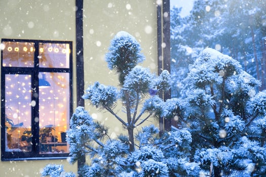 Cozy festive window of the house outside with the warm light of fairy lights garlands inside - celebrate Christmas and New Year in a warm home. Christmas tree, bokeh, snow on pine trees and snowfall photo