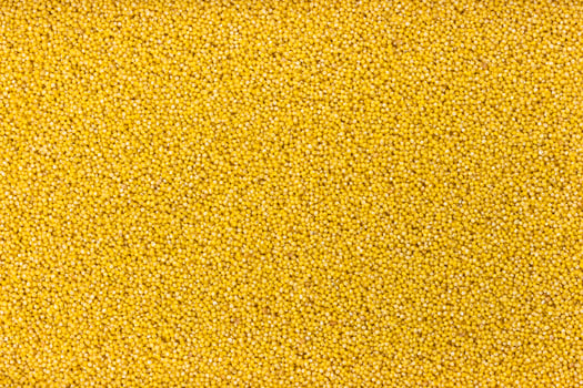 Millet groats background photo
