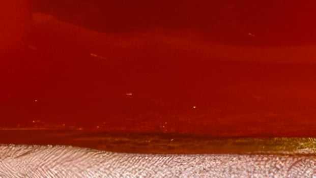 Organic Kombucha brewing in hip urban kitchen background with empty space for text photo