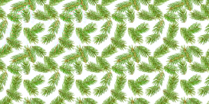 Fir tree branches seamless pattern, pine branch, Christmas conifer isolated on white background photo