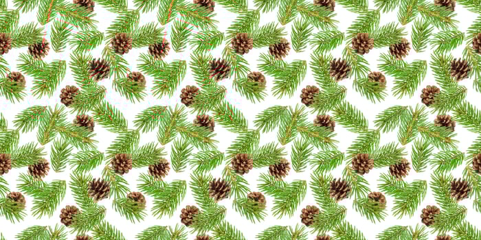 Fir tree branches seamless pattern, pine branch, Christmas conifer isolated on white background photo