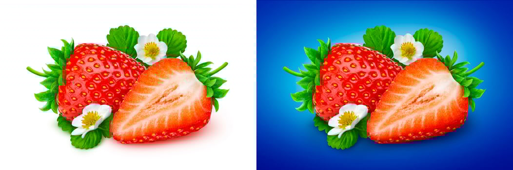 Strawberry isolated. Two strawberries with flowers and leaves isolated on white background photo