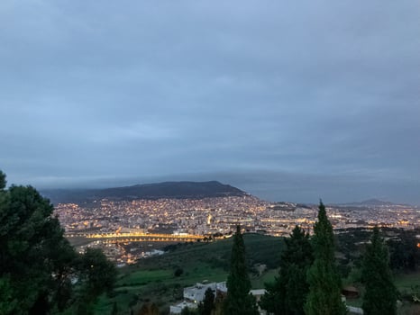 a view of the city from a hillside photo