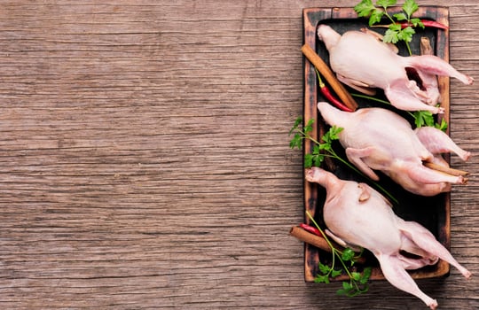 Raw quail with herbs photo
