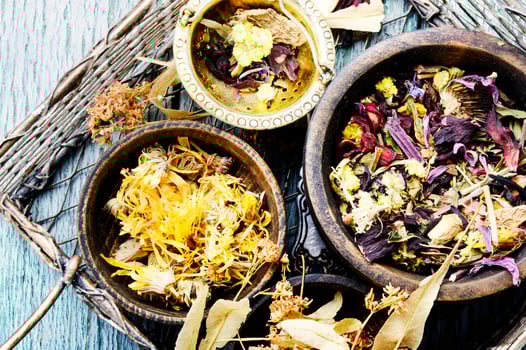 Herbs medicine flowers photo