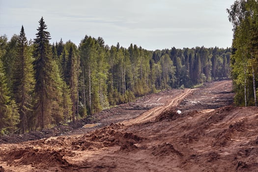 Construction of the route through the forest photo