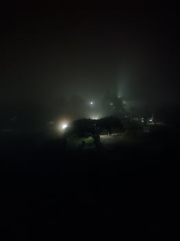 fir trees on meadow between hillsides with conifer forest in fog under the blue sky at night. spooky countryside scenery in full moon light photo