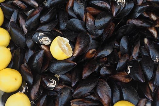 Fresh Black Shell Recipe With Lemon Turkish Food photo
