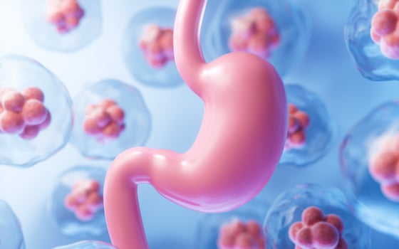 Human stomach and cell background, 3d rendering. photo
