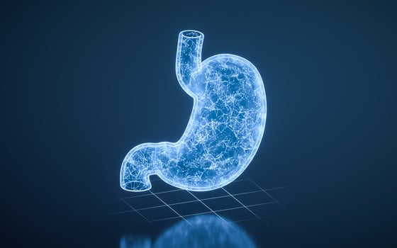 Stomach with blue technology structure, 3d rendering. photo