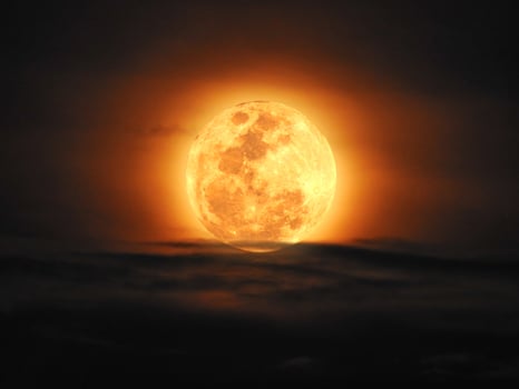 The yellow full moon and cloud on night sky photo