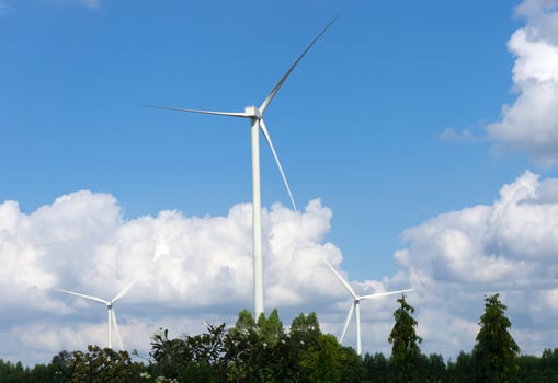 Many wind turbine in meadow. photo