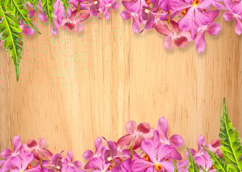 Old wooden background with pink Orchid flowers frame photo