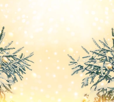 Blurred. Christmas tree in the snow photo