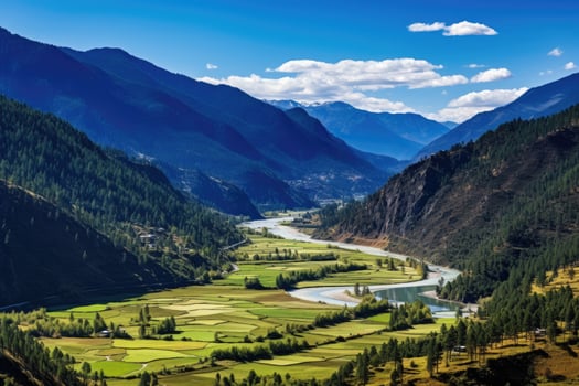 Terraced rice field landscape in Sichuan Province, China, Panorama top view of Paro valley landscape, Bhutan, AI Generated photo