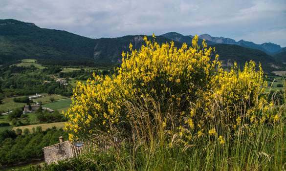 aurel, in drome,france photo