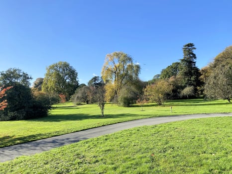 A view of a park in London showing the Autumn Colours photo