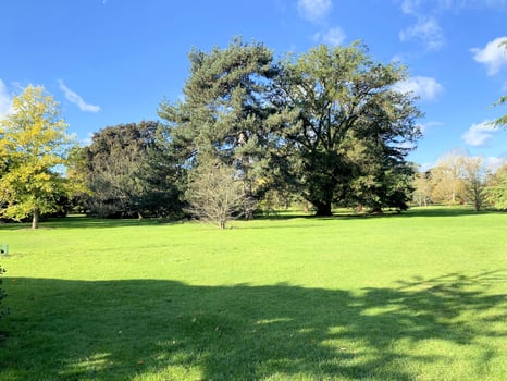 A view of a park in London showing the Autumn Colours photo