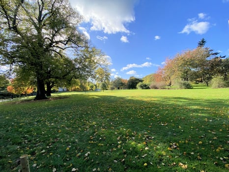 A view of a park in London showing the Autumn Colours photo