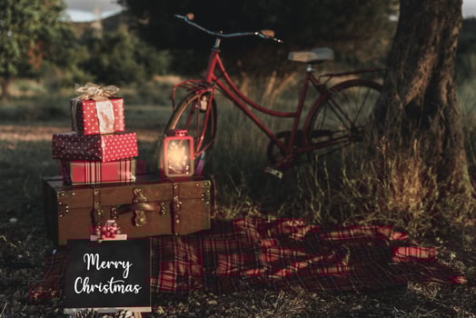 Christmas session in the countryside with a vintage suitcase and gifts photo