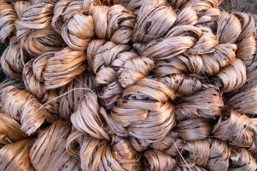 Thick Golden bundle of raw jute fiber abstract Pattern Texture Can be used as a Background wallpaper photo
