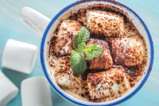Cup of cocoa with marshmallows and cocoa powder photo
