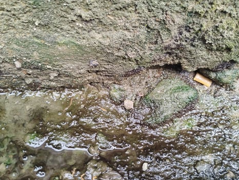 Background photo of a stone wall and moss on it