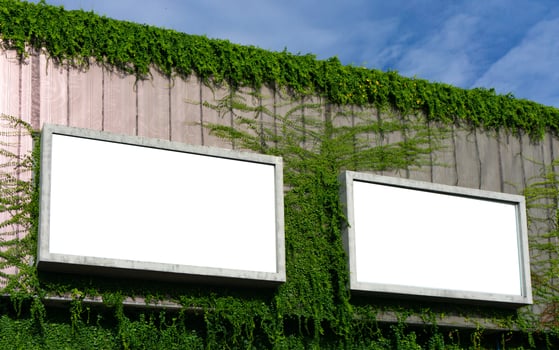 White billboard on spring summer green leaves background photo