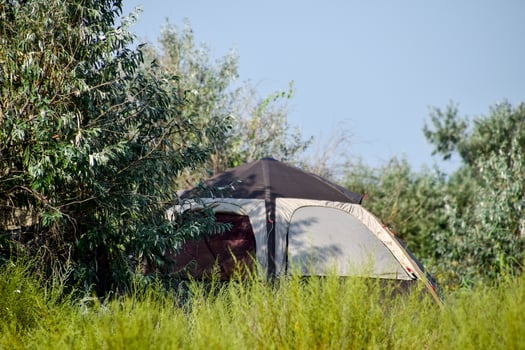 Tourist tent under a tree. Tourist Camping. Multi-Tent photo