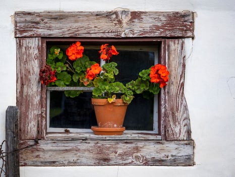 still live in the wonderful old farmers village in Germany photo