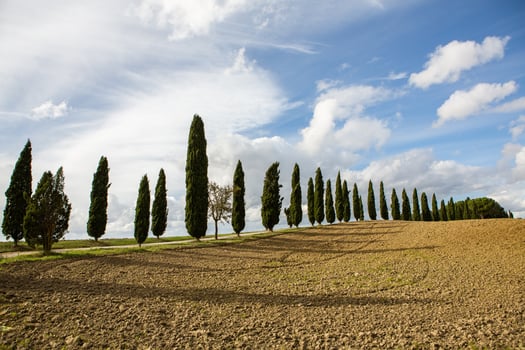 Famous Tuscany landscape with curved road and cypress, Italy, Europe. Rural farm, cypress trees, green field, sunlight and cloud. photo