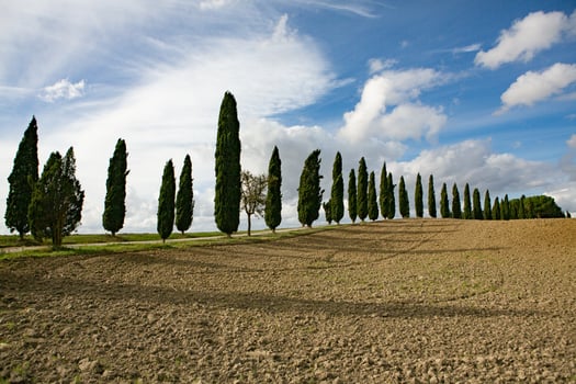 Famous Tuscany landscape with curved road and cypress, Italy, Europe. Rural farm, cypress trees, green field, sunlight and cloud. photo