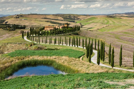 Famous Tuscany landscape with curved road and cypress, Italy, Europe. Rural farm, cypress trees, green field, sunlight and cloud. photo
