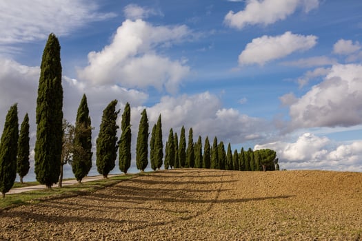 Famous Tuscany landscape with curved road and cypress, Italy, Europe. Rural farm, cypress trees, green field, sunlight and cloud. photo