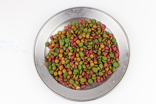 Dry dog food in metal bowl isolated on white background, top view photo