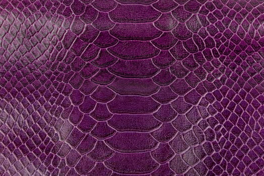 Purple snake skin texture. Abstract background and texture for design. photo
