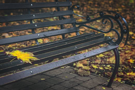 Lonely yellow leaf on a park bench. Autumn time. Eye charm. Your time is wonderful to me.CINEMATIC photo