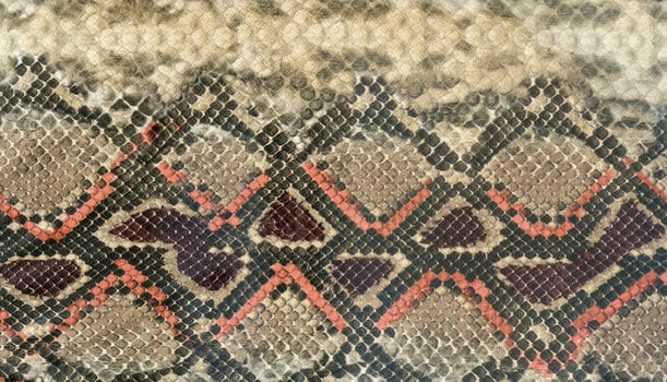 Snake skin leather textured reptile print. Pyton animal leather background. photo